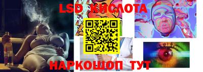 винт Тара