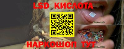 винт Тара