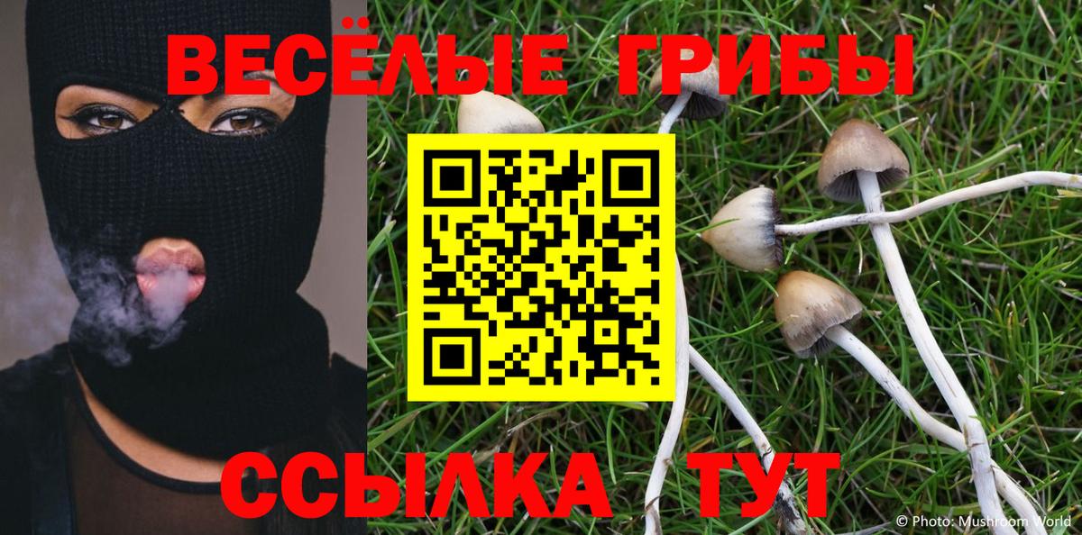 Галлюциногенные грибы MAGIC MUSHROOMS  Псилоцибиновые грибы Magic Shrooms  цены   Нововоронеж  Вход с VPN 